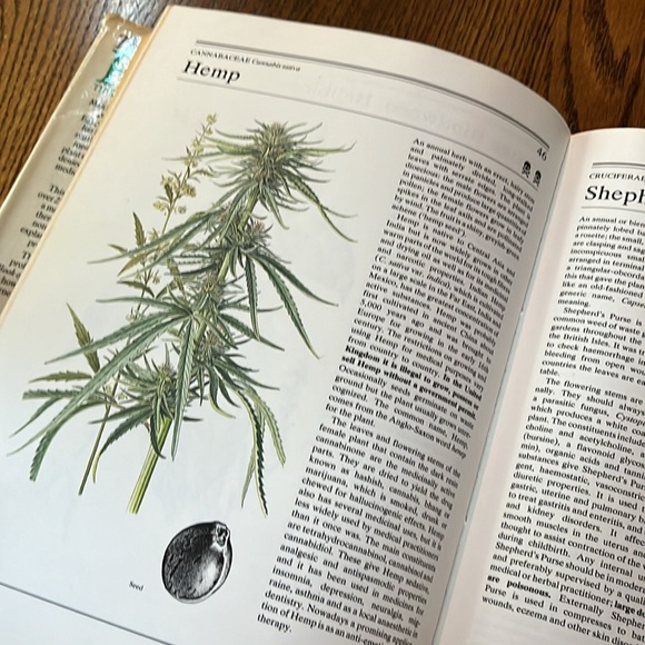 The illustrated book of herbs, their medicinal and culinary uses hard cover - Picture 5 of 14